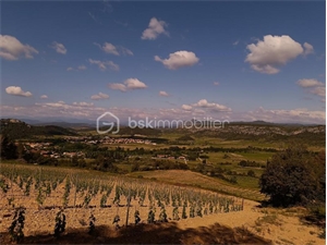 terrain agricole à la vente -   66720  TAUTAVEL, surface 2045 m2 vente terrain agricole - UBI484093985